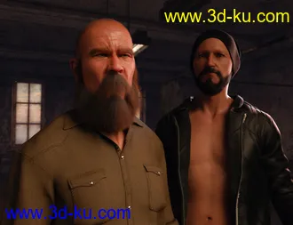 3D打印模型Long and Full Beards Set Hair for Genesis 8 Male的图片