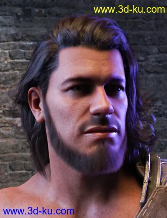 3D打印模型Long and Full Beards Set Hair for Genesis 8 Male的图片