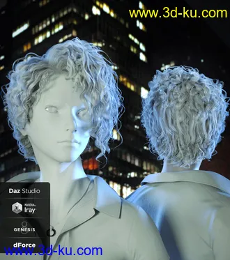 3D打印模型Luc Hair for Genesis 8的图片