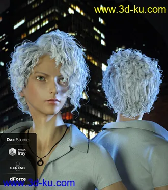 3D打印模型Luc Hair for Genesis 8的图片