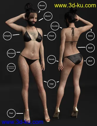 3D打印模型Lush Beard and Body Hair for Genesis 8 Female的图片