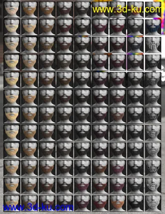 3D打印模型Lush Beard and Body Hair for Genesis 8 Female的图片