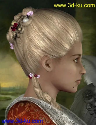 3D打印模型Marie Louise Hair and Wig的图片