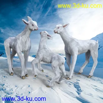 3D打印模型Midnight Creature 02 Snow Llama的图片