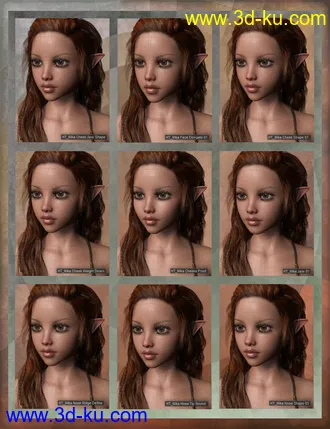 3D打印模型Mika 8 Enhanced Morphs Resource Kit for Genesis 8 Female的图片