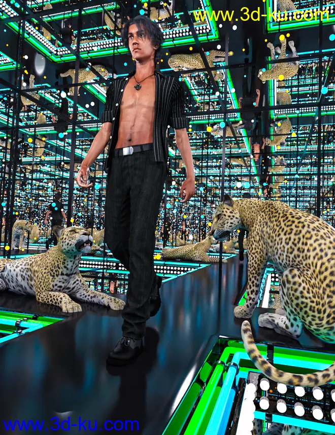 Mirror Rooms模型的图片2