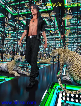 3D打印模型Mirror Rooms的图片