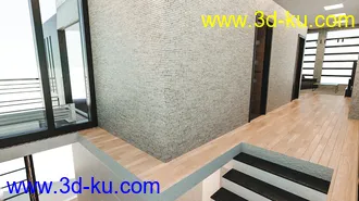 3D打印模型Modern Leisure House的图片