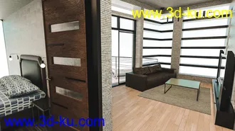3D打印模型Modern Leisure House的图片