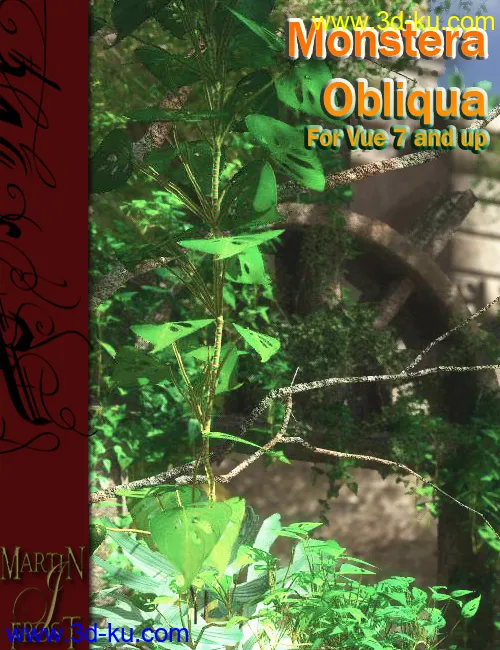 Monstera Obliqua - Jungle Plants for Vue模型的图片1