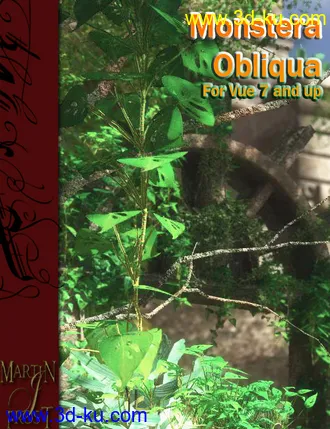 3D打印模型Monstera Obliqua - Jungle Plants for Vue的图片