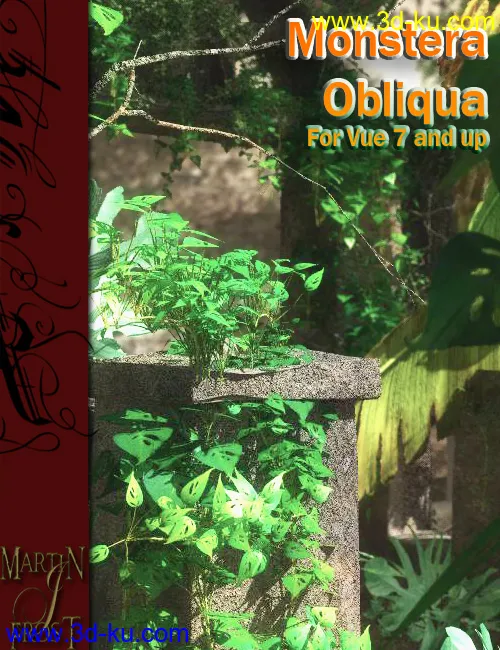 Monstera Obliqua - Jungle Plants for Vue模型的图片2