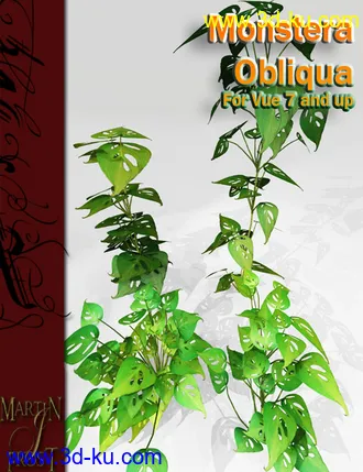 3D打印模型Monstera Obliqua - Jungle Plants for Vue的图片