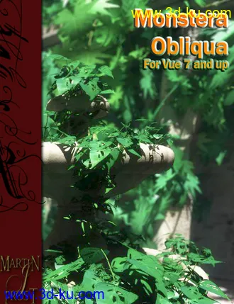 3D打印模型Monstera Obliqua - Jungle Plants for Vue的图片