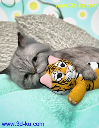 3D打印模型Moshi The Kitten的图片