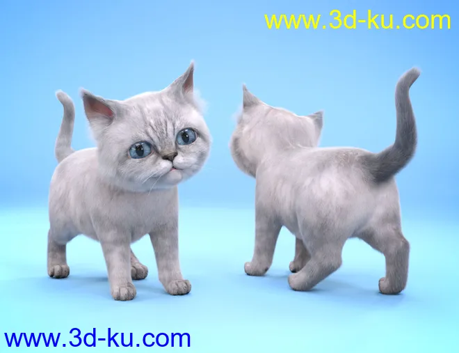 Moshi The Kitten模型的图片5