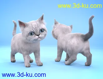 3D打印模型Moshi The Kitten的图片