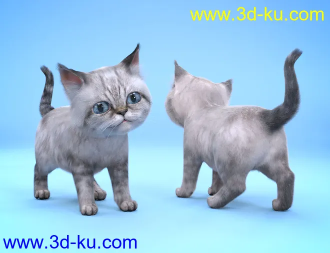 Moshi The Kitten模型的图片6