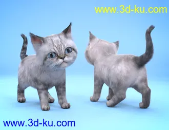 3D打印模型Moshi The Kitten的图片