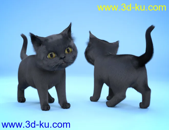 Moshi The Kitten模型的图片7