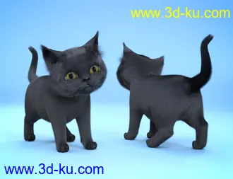 3D打印模型Moshi The Kitten的图片