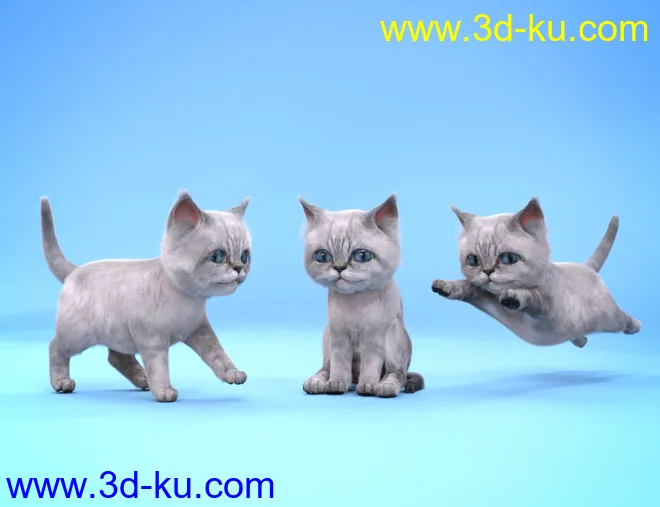 Moshi The Kitten模型的图片9