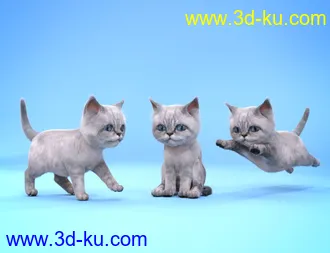 3D打印模型Moshi The Kitten的图片