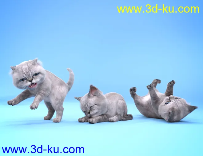 Moshi The Kitten模型的图片10