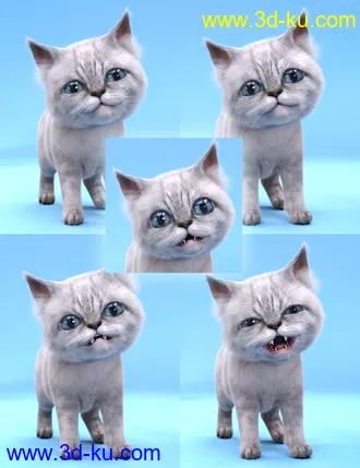 3D打印模型Moshi The Kitten的图片