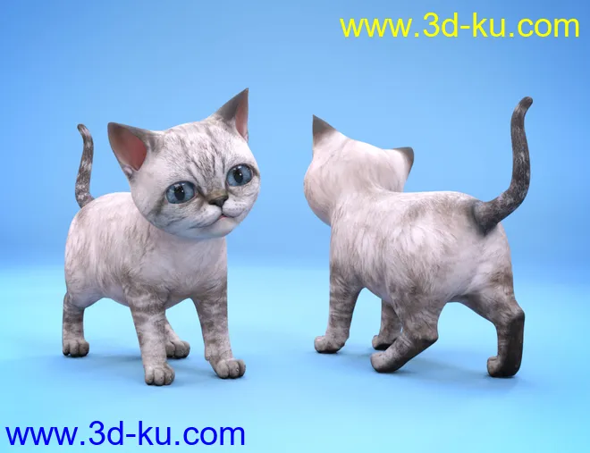 Moshi The Kitten模型的图片12
