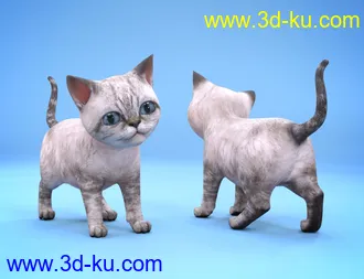 3D打印模型Moshi The Kitten的图片
