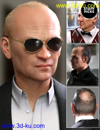 3D打印模型Mr Banks Hair Layers for Genesis 8 Male的图片
