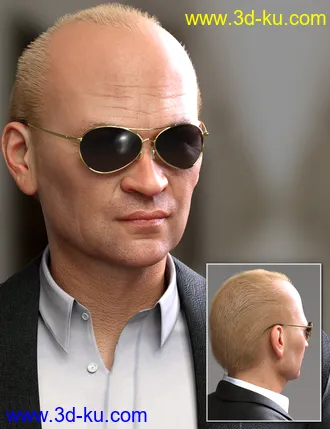 3D打印模型Mr Banks Hair Layers for Genesis 8 Male的图片