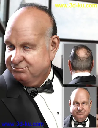 3D打印模型Mr Banks Hair Layers for Genesis 8 Male的图片