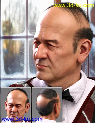 3D打印模型Mr Banks Hair Layers for Genesis 8 Male的图片