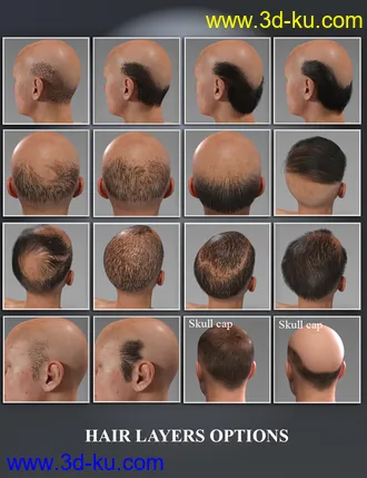 3D打印模型Mr Banks Hair Layers for Genesis 8 Male的图片
