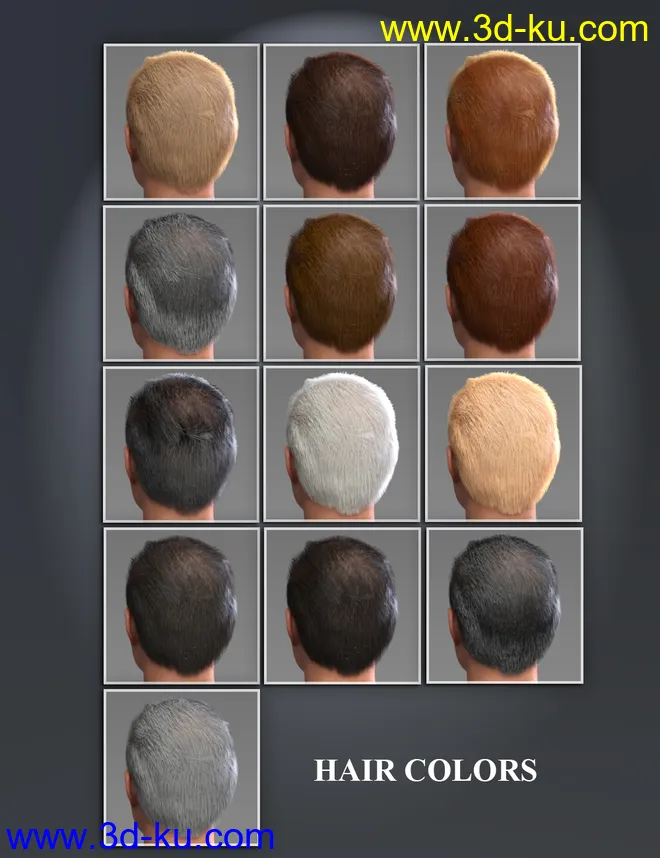 Mr Banks Hair Layers for Genesis 8 Male模型的图片11