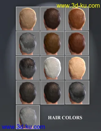 3D打印模型Mr Banks Hair Layers for Genesis 8 Male的图片