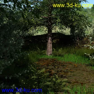 3D打印模型My Little Forest的图片