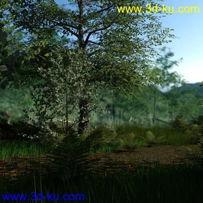 My Little Forest模型的图片5