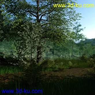 3D打印模型My Little Forest的图片