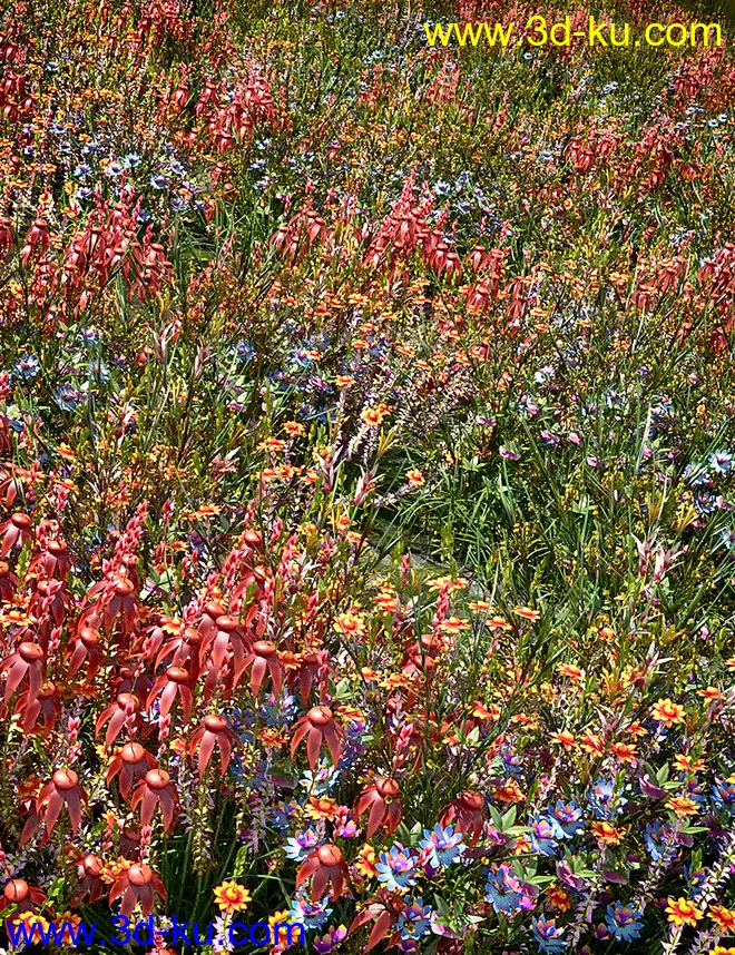 My Nature Collection 2模型的图片1