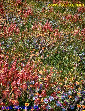 3D打印模型My Nature Collection 2的图片