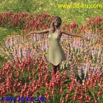 3D打印模型My Nature Collection 2的图片