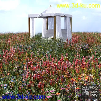 3D打印模型My Nature Collection 2的图片