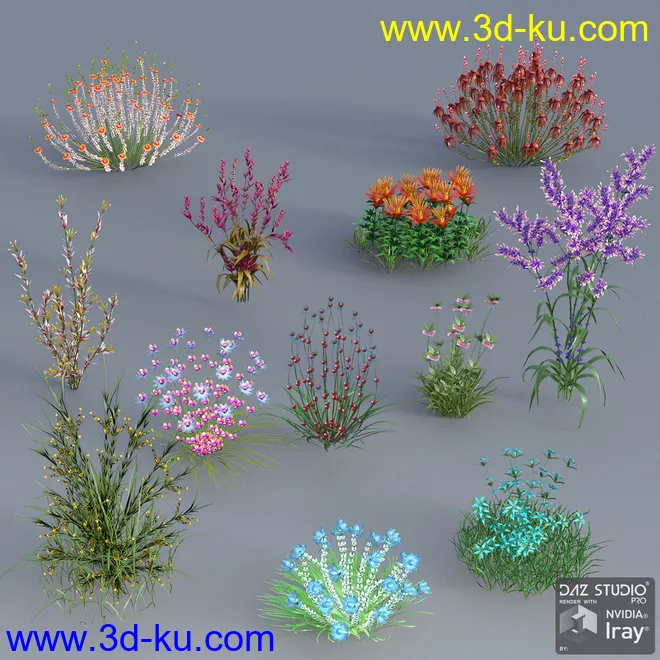 My Nature Collection 2模型的图片6