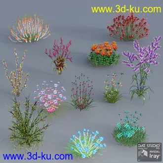 3D打印模型My Nature Collection 2的图片