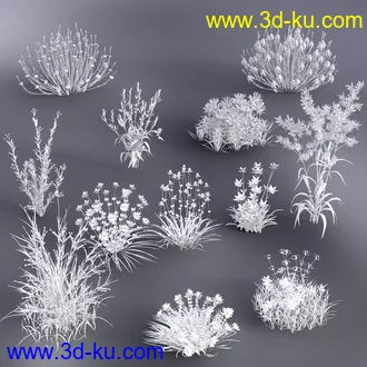 3D打印模型My Nature Collection 2的图片