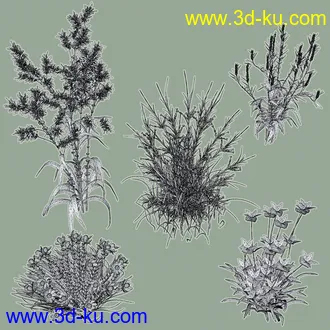3D打印模型My Nature Collection 2的图片