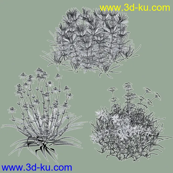 My Nature Collection 2模型的图片9